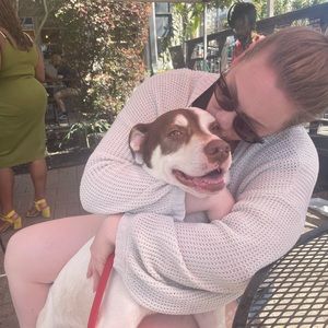Meet your Posher, Haley